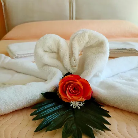 Sunflower アパート *