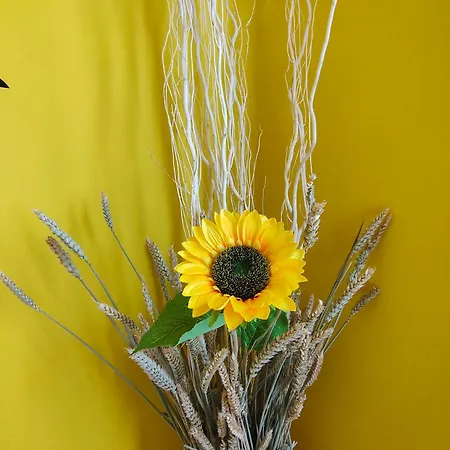Sunflower شقة